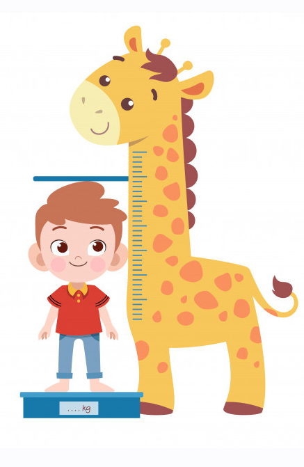 kid measure height vector illustration isolated 97632 290 1