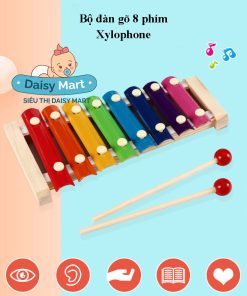 Combo 6 món Montessori bằng gỗ giúp trẻ phát triển tư duy logic và màu sắc