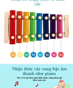 Combo 6 món Montessori bằng gỗ giúp trẻ phát triển tư duy logic và màu sắc