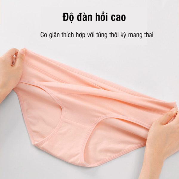 Quần lót bầu cạp chéo cotton, quần lót bà bầu