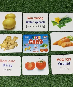 Thẻ học thông minh song ngữ, thẻ flash card, Glenn Doman 15- 18 chủ đề 12x16cm cho trẻ em