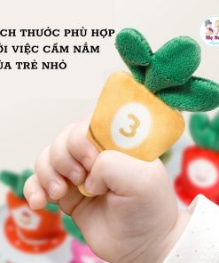 Bộ đồ chơi nông trại cà rốt bông