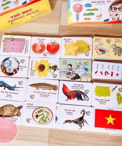 Thẻ học thông minh song ngữ 16 chủ đề, 416 thẻ flash card 10x7 cm