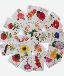 Thẻ học thông minh song ngữ 16 chủ đề, 416 thẻ flash card 10x7 cm