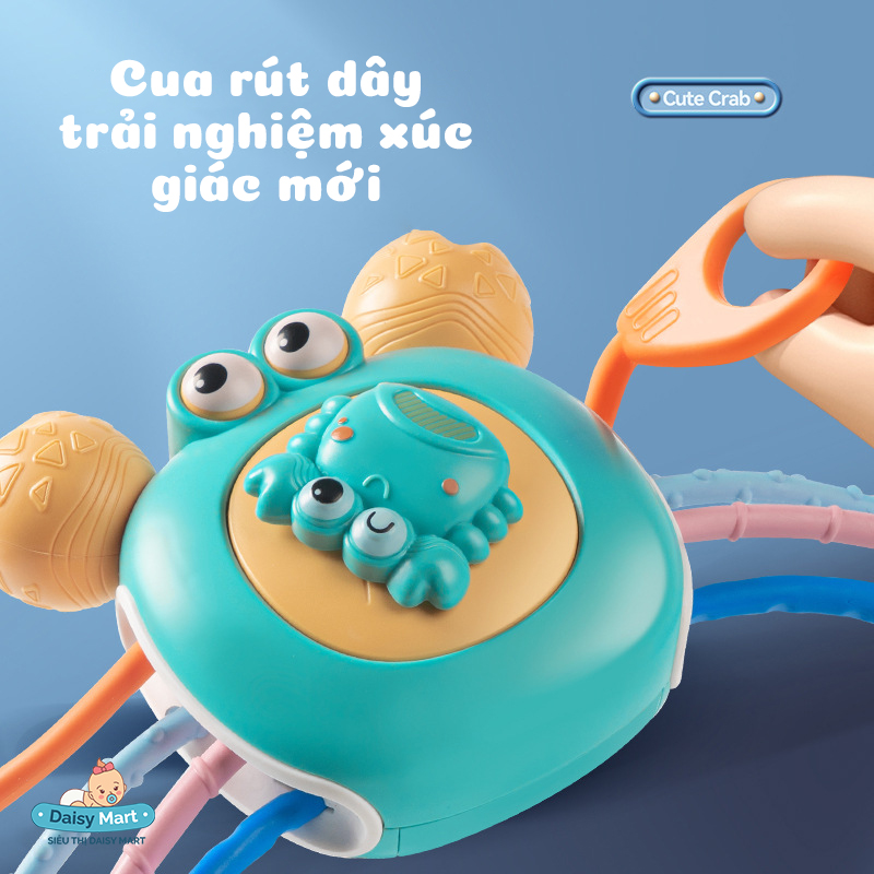 cua rút dây, cua bận rộn (3)